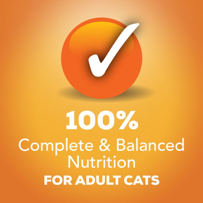 66234 product detail number 1.0