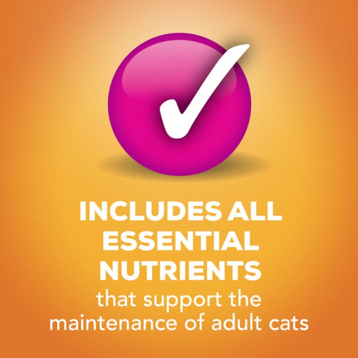 66234 product detail number 1.0