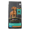 Purina Pro Plan Puppy Large Breed Chicken & Rice Formula Dry Dog Food 34 lb Bag