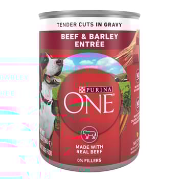 Purina ONE SmartBlend Tender Cuts in Gravy Adult Canned Dog Food Beef & Barley-product-tile