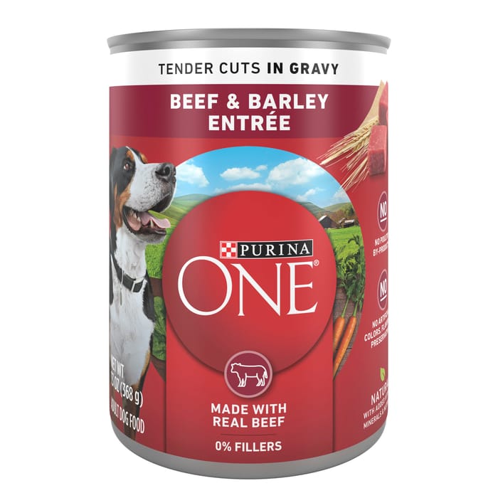 Purina ONE SmartBlend Tender Cuts in Gravy Adult Canned Dog Food Beef & Barley product detail number 1.0