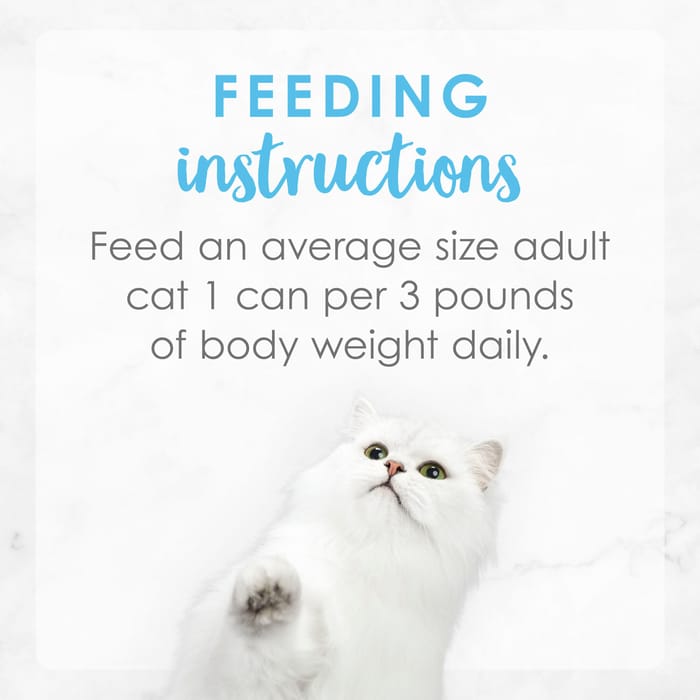 66446 product detail number 1.0