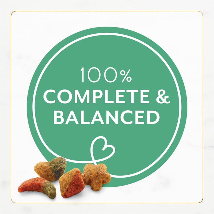 66464 product detail number 1.0