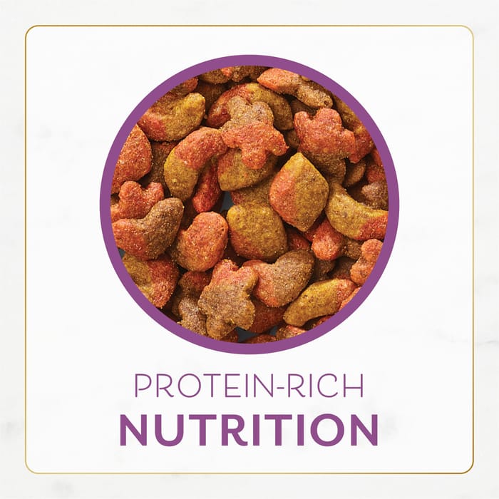 66467 product detail number 1.0