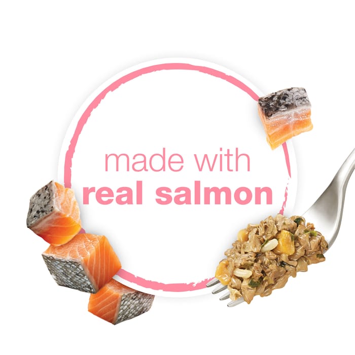 66504 product detail number 1.0