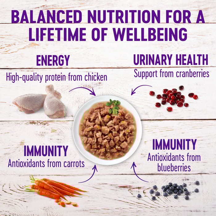 66535 product detail number 1.0