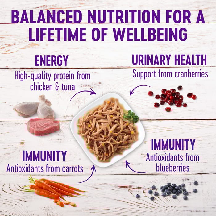 66536 product detail number 1.0