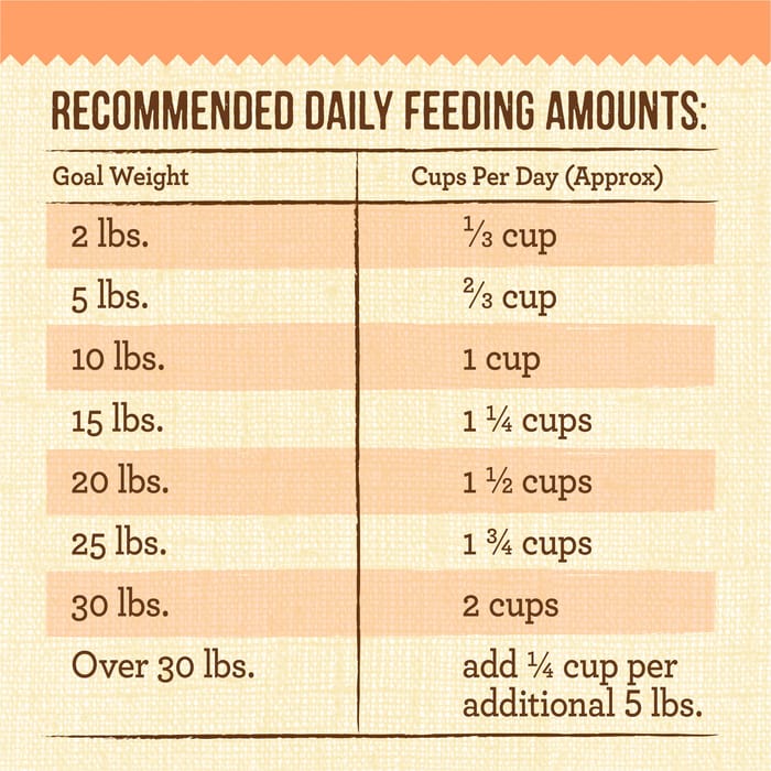 65091 product detail number 1.0