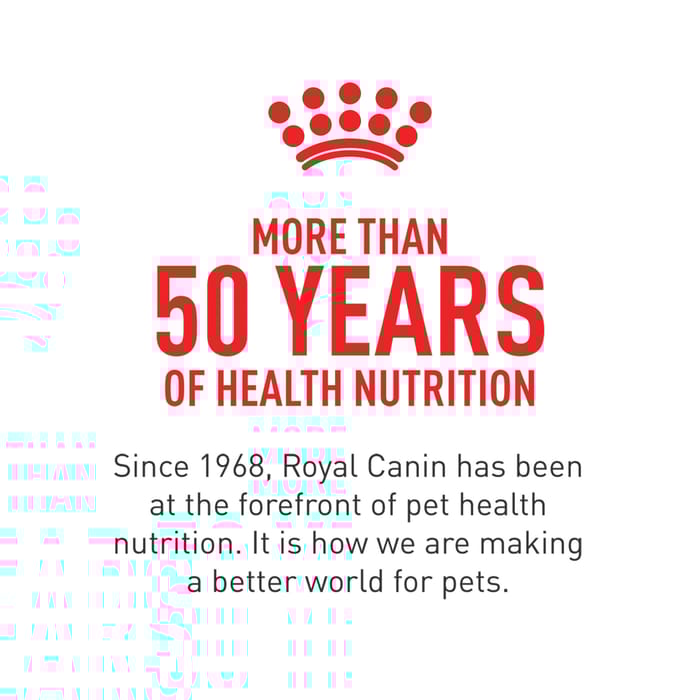 66675 product detail number 1.0