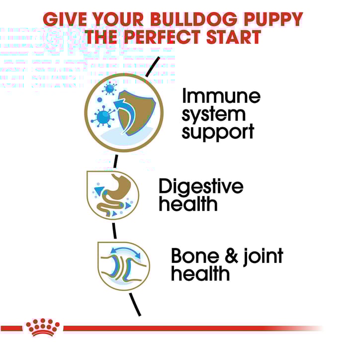 66684 product detail number 1.0