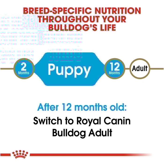 66684 product detail number 1.0