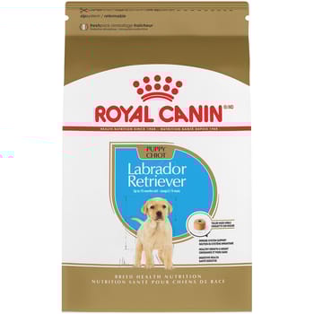 Royal Canin Breed Health Nutrition Labrador Retriever Puppy Dry Dog Food - 30 lb Bag-product-tile