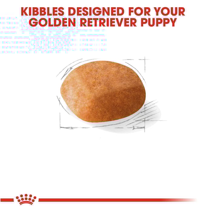 66693 product detail number 1.0