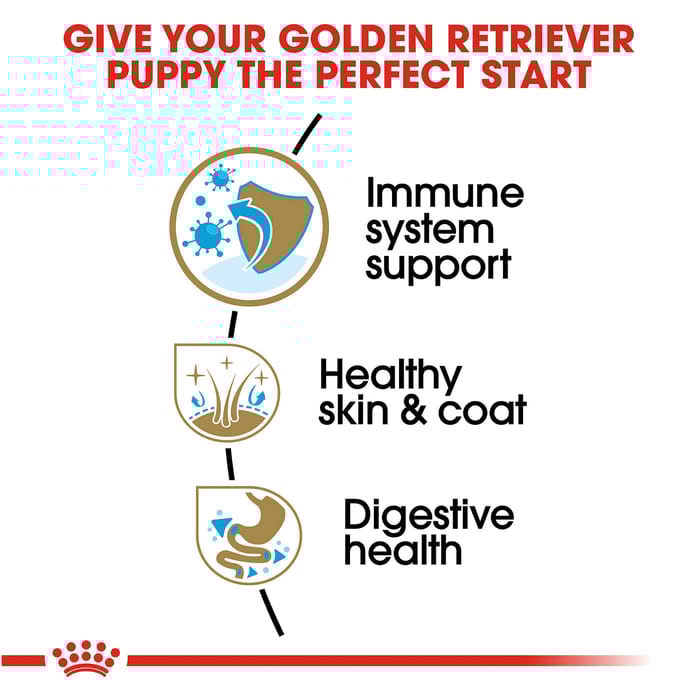 66693 product detail number 1.0