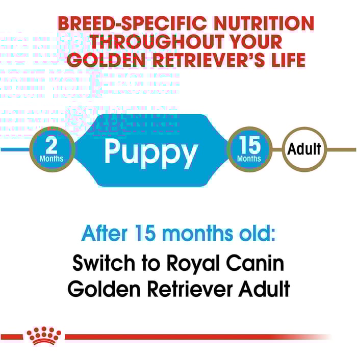 66693 product detail number 1.0