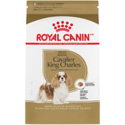 Royal Canin Breed Health Nutrition Cavalier King Charles Spaniel Adult Dry Dog Food