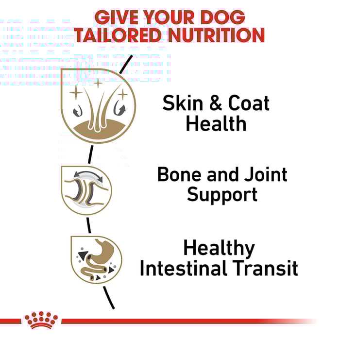 66700 product detail number 1.0