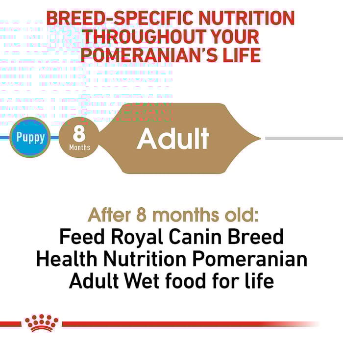 66700 product detail number 1.0