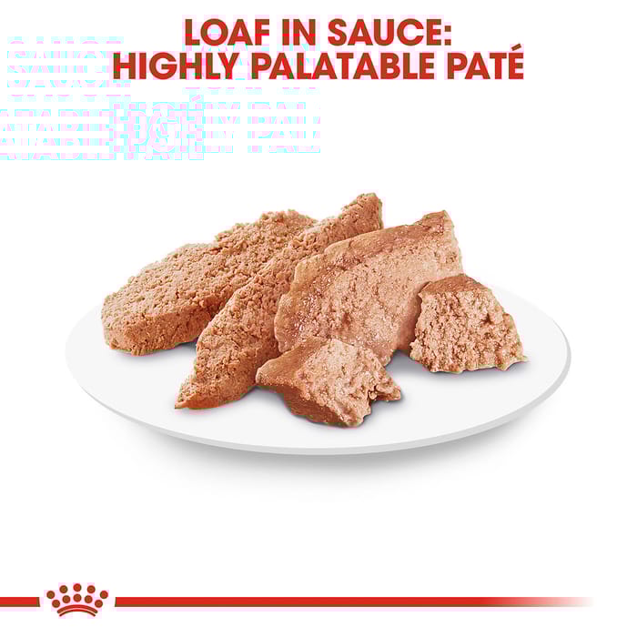 67749 product detail number 1.0