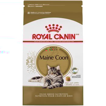 Royal Canin Feline Breed Nutrition Maine Coon Adult Dry Cat Food - 6 lb Bag-product-tile
