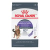 Royal Canin Feline Care Nutrition Appetite Control Care Adult Dry Cat Food - 6 lb Bag