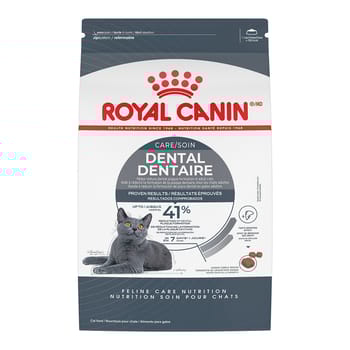 Royal Canin Feline Care Nutrition Dental Care Adult Dry Cat Food - 3 lb Bag -product-tile