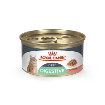 Royal Canin Feline Care Nutrition Digestive Care Thin Slices In Gravy Adult Wet Cat Food - 3 oz Cans - Case of 24-product-tile