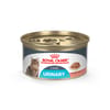Royal Canin Feline Care Nutrition Urinary Care Thin Slices in Gravy Adult Wet Cat Food - 3 oz Cans - Case of 24