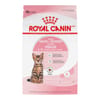 Royal Canin Feline Health Nutrition Kitten Spayed / Neutered Dry Cat Food - 2.5 lb Bag
