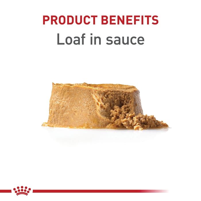 66739 product detail number 1.0