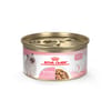 Royal Canin Feline Health Nutrition Kitten Thin Slices In Gravy Wet Cat Food - 3 oz​ Cans - Case of 24