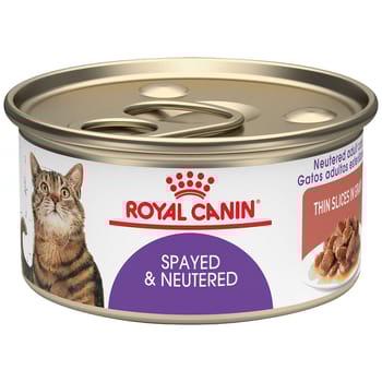 Royal Canin Feline Health Nutrition Spayed / Neutered Thin Slices in Gravy Adult Wet Cat Food - 3 oz Cans - Case of 24-product-tile