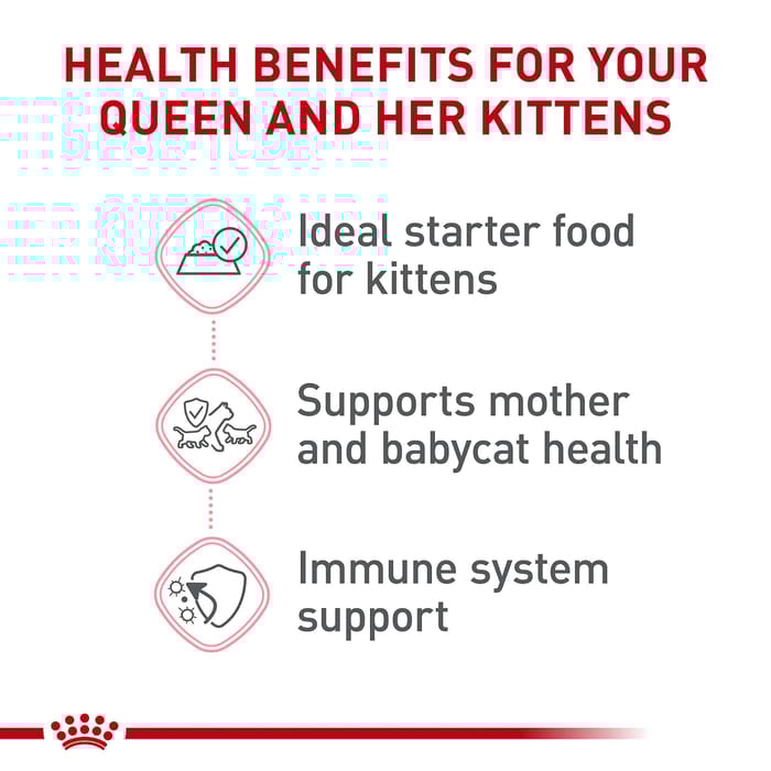 66749 product detail number 1.0