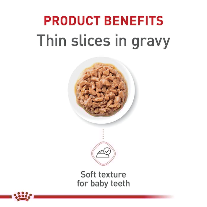 66742 product detail number 1.0