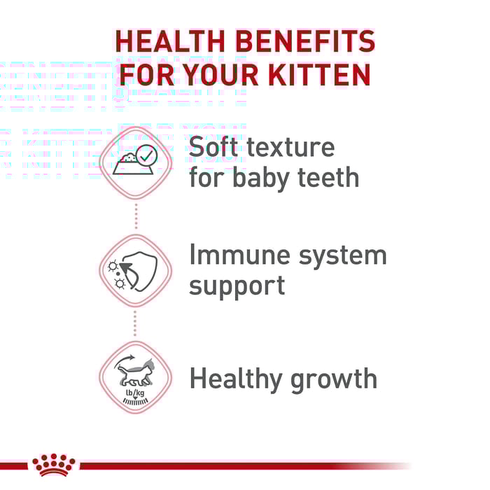 66742 product detail number 1.0