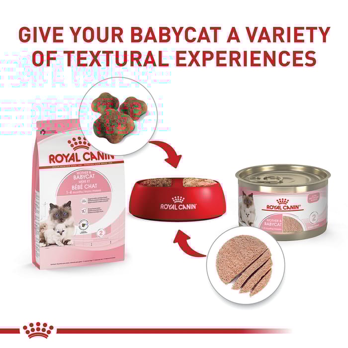 66753 product detail number 1.0