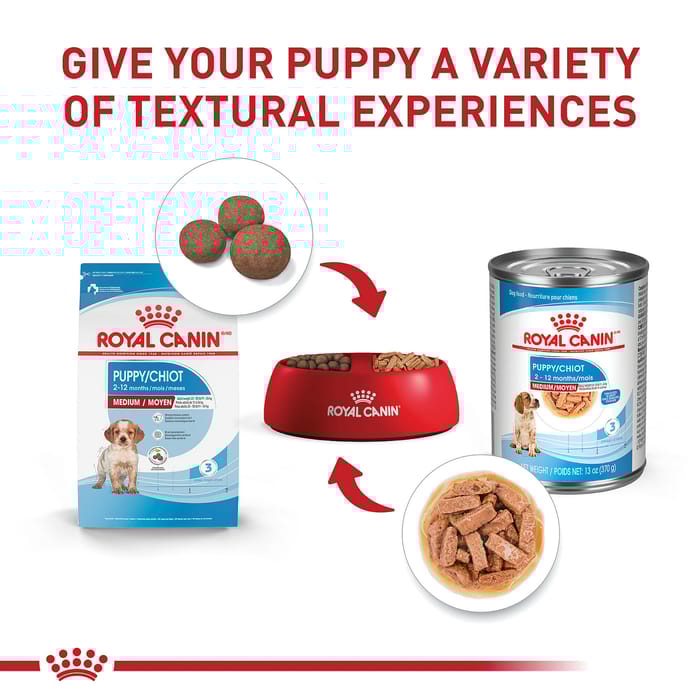 66768 product detail number 1.0