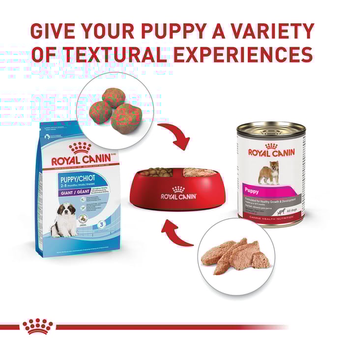 66772 product detail number 1.0