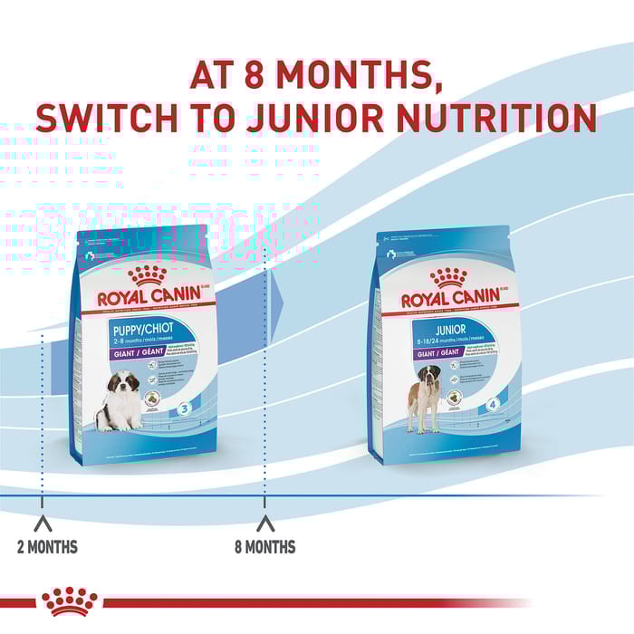 66772 product detail number 1.0