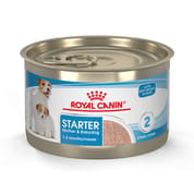 Royal Canin Size Health Nutrition Starter Mother & Babydog Mousse In Sauce Wet Dog Food