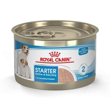 Royal Canin Size Health Nutrition Starter Mother & Babydog Mousse In Sauce Wet Dog Food - 5.1 oz Cans - Case of 24-product-tile