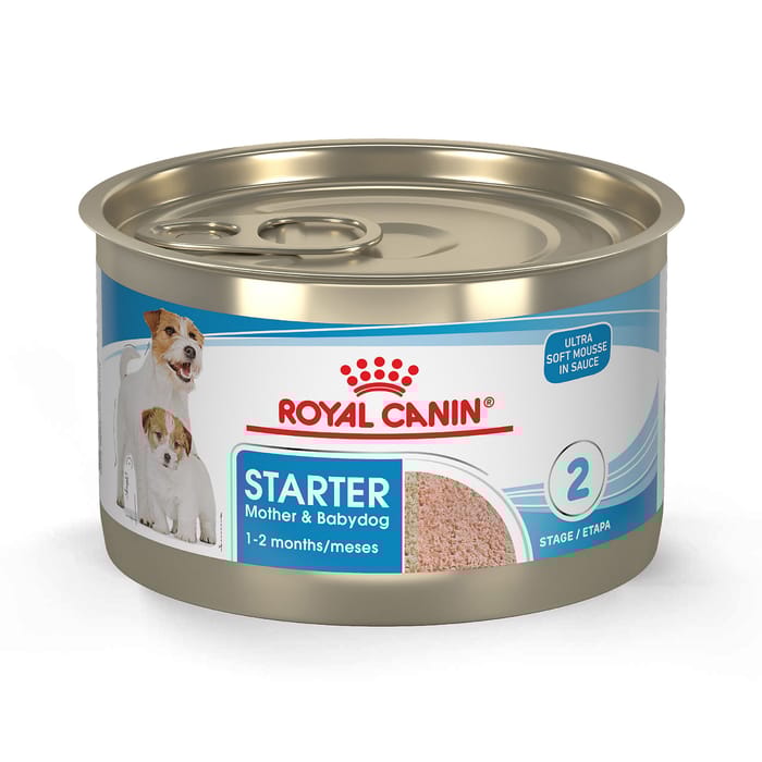 Royal Canin Size Health Nutrition Starter Mother & Babydog Mousse In Sauce Wet Dog Food - 5.1 oz Cans - Case of 24 product detail number 1.0