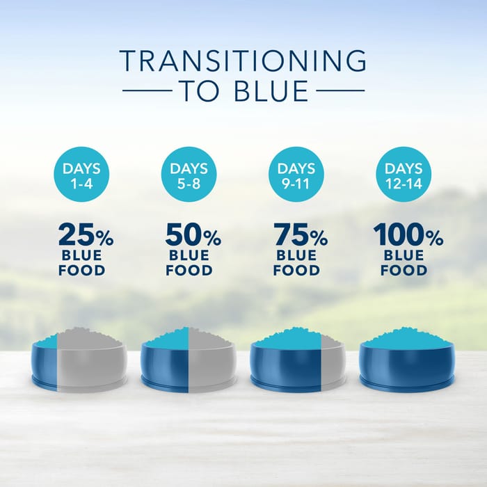 66790 product detail number 1.0