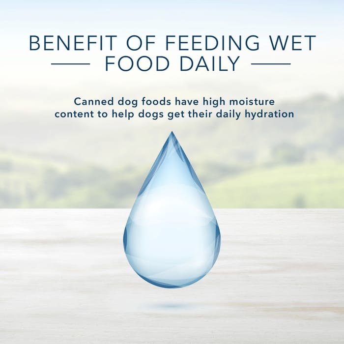 66793 product detail number 1.0