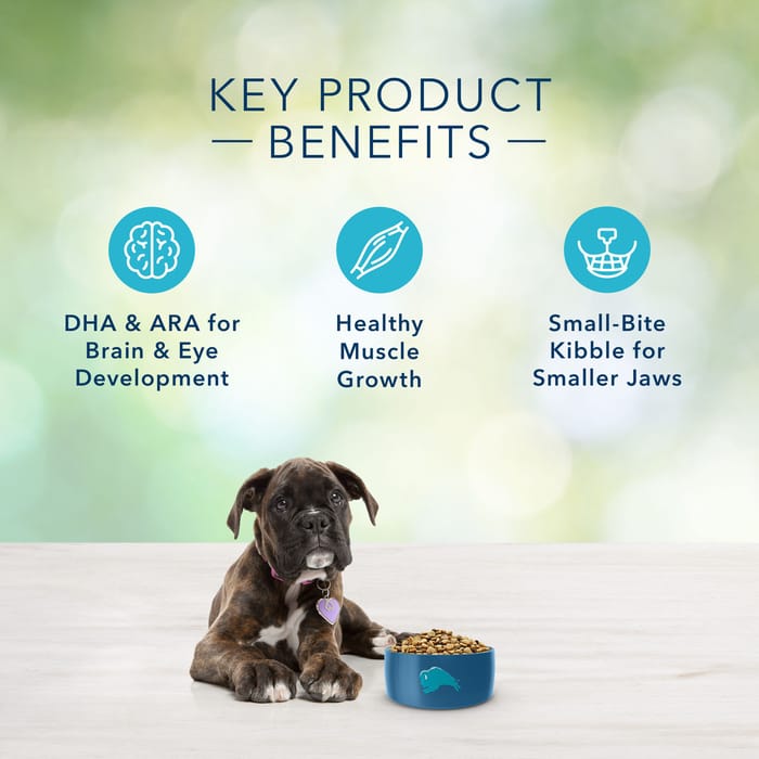 66818 product detail number 1.0