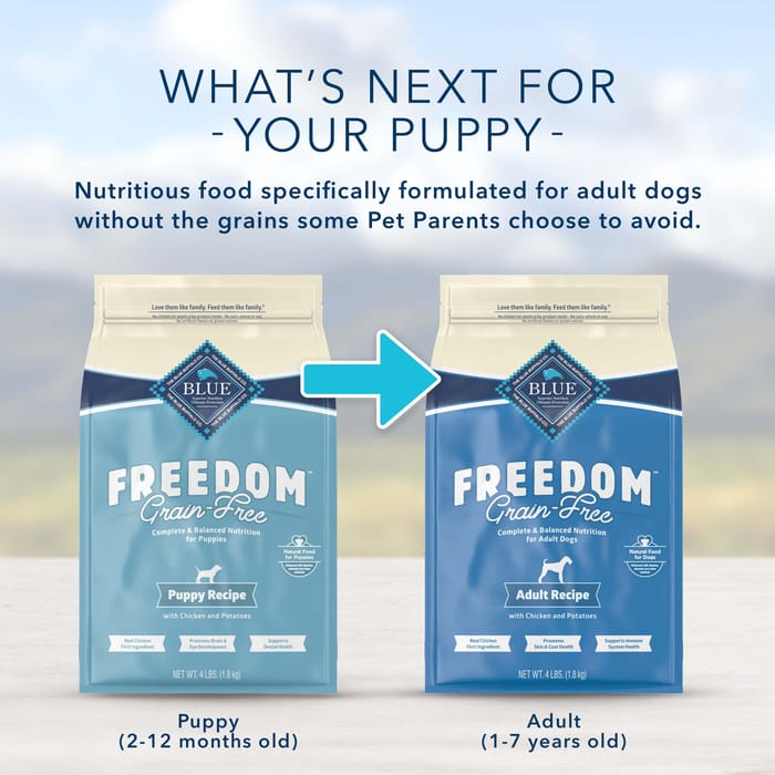 66818 product detail number 1.0