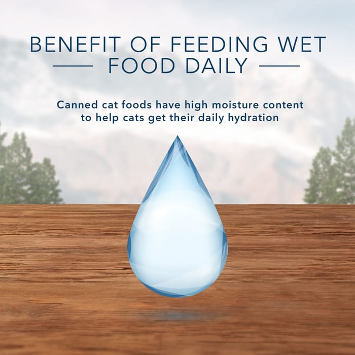 66868 product detail number 1.0