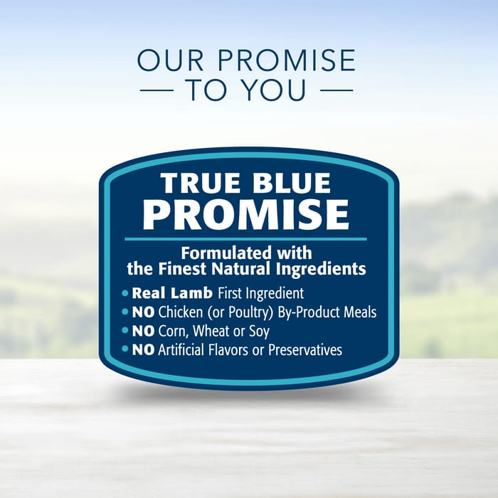 66890 product detail number 1.0