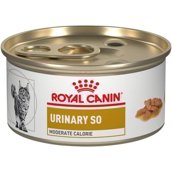 Royal Canin Veterinary Diet Feline Urinary SO Moderate Calorie Morsels in Gravy Wet Cat Food - 3 oz Cans - Case of 24-product-tile