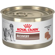 Royal Canin Veterinary Diet Recovery Ultra Soft Mousse in Sauce Wet Cat & Dog Food